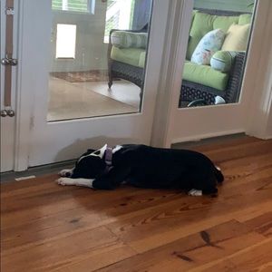 Meet your Posher, Peyton